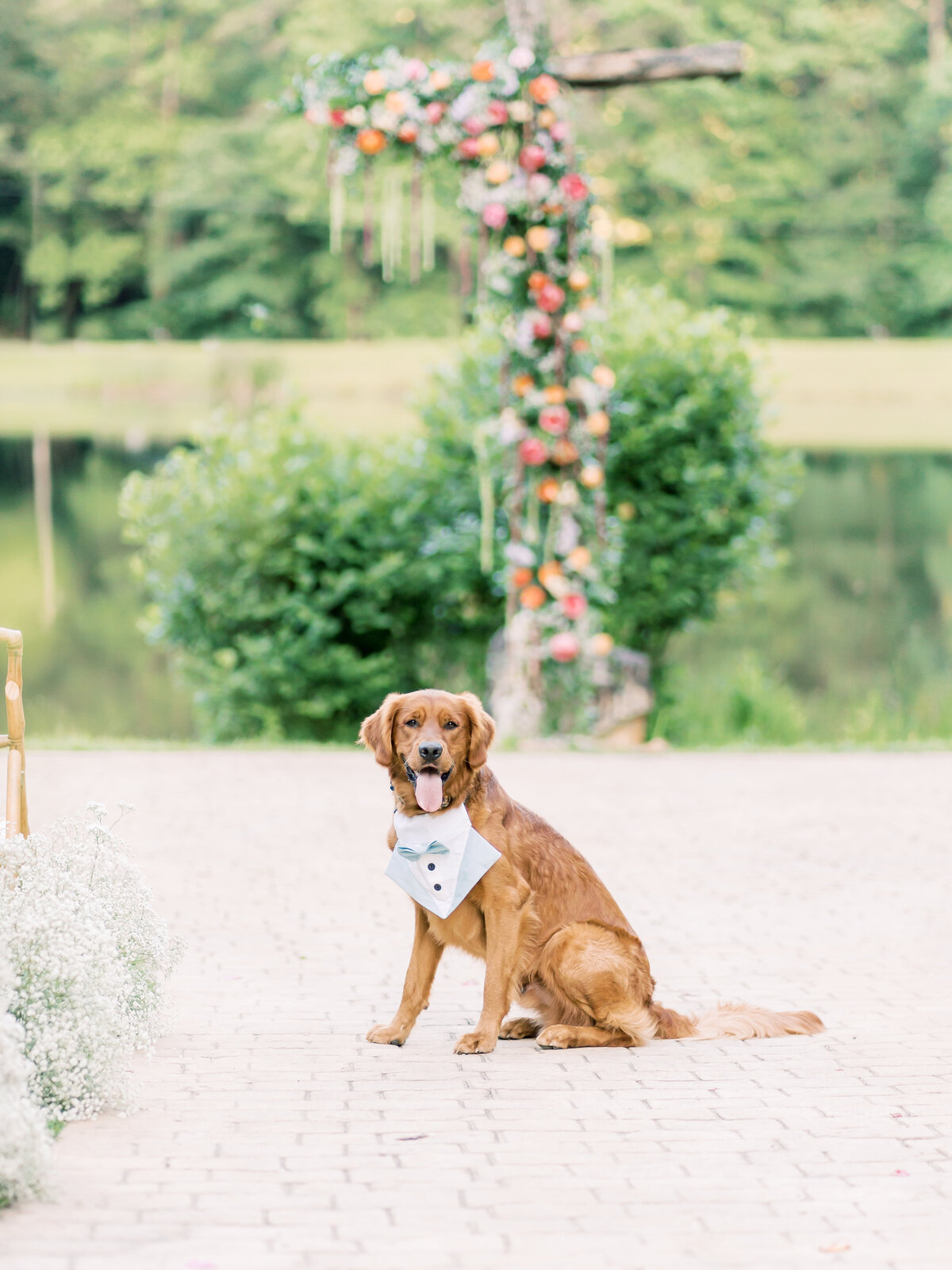 TheMillerWedding-104