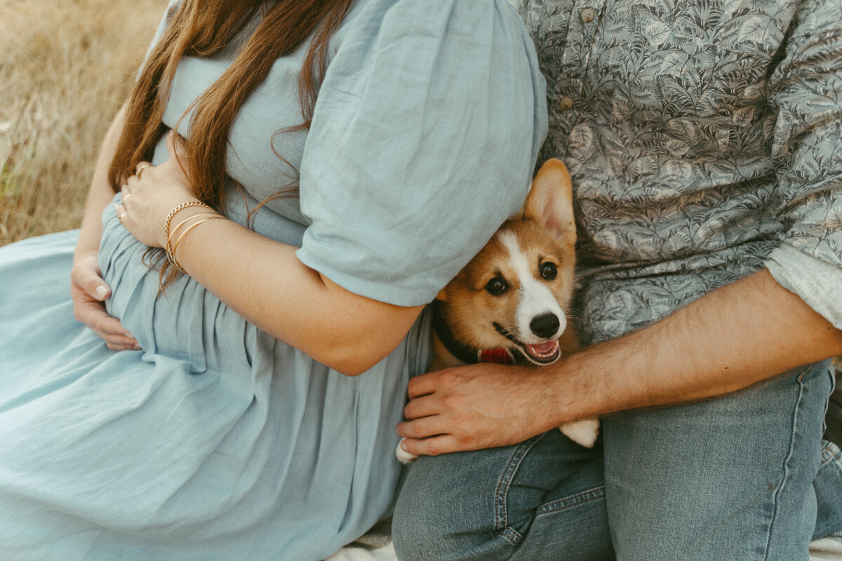 maternityphotos-21