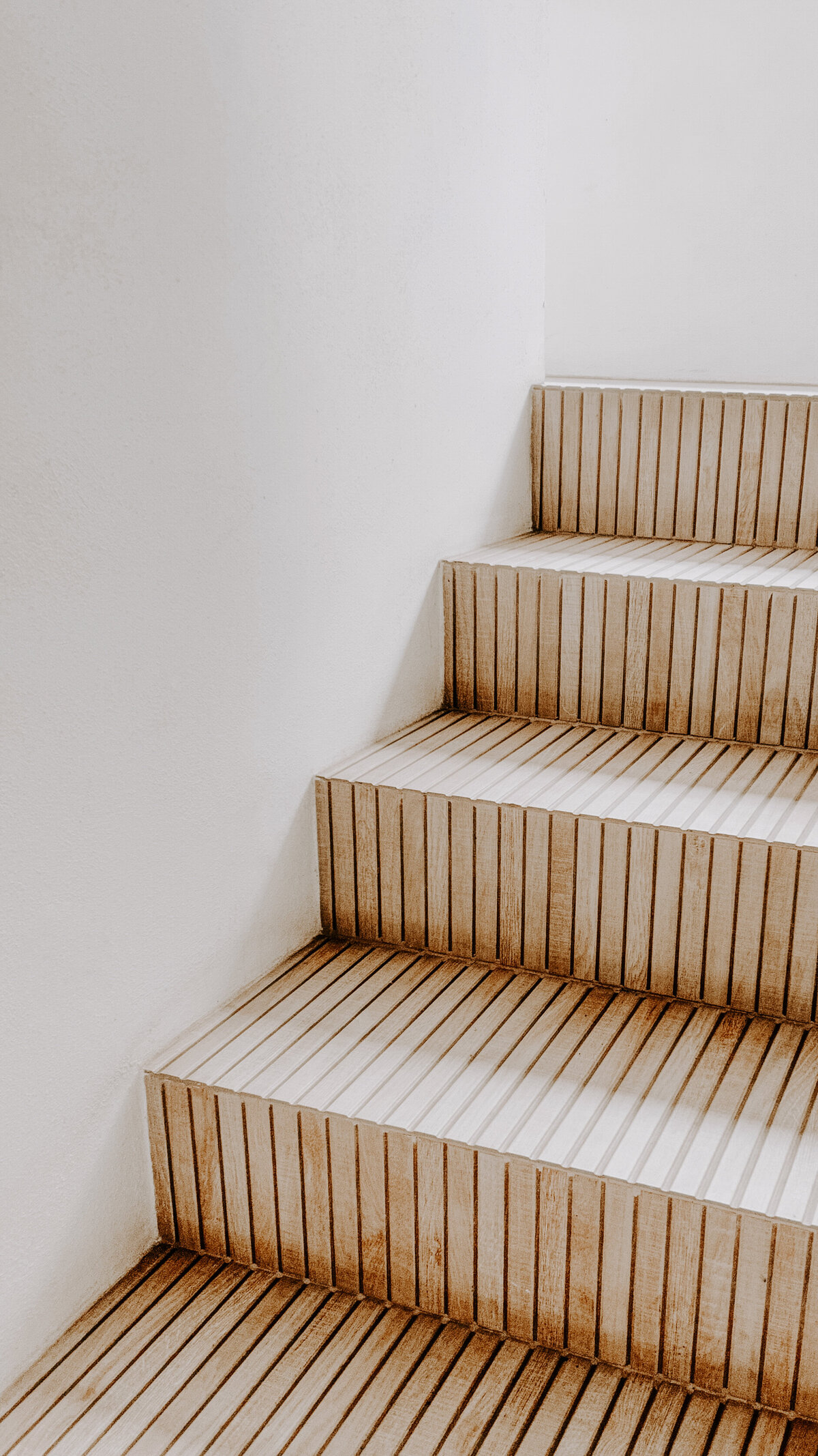 haute-stock-photography-subscription-lush-collection-final-11