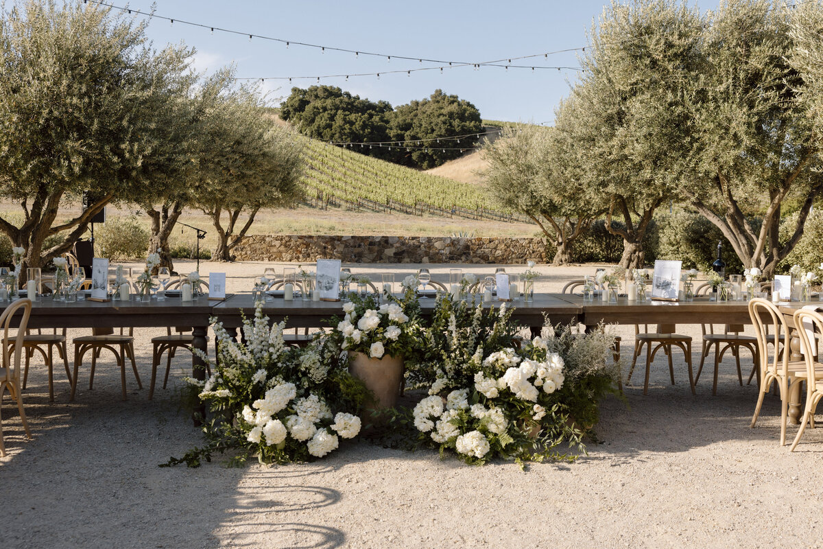 Paso Robles Wedding Photographer-44