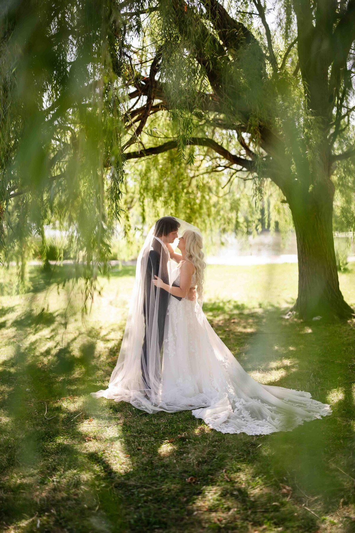 Bride and groom embrase under a willow tree in CHicago