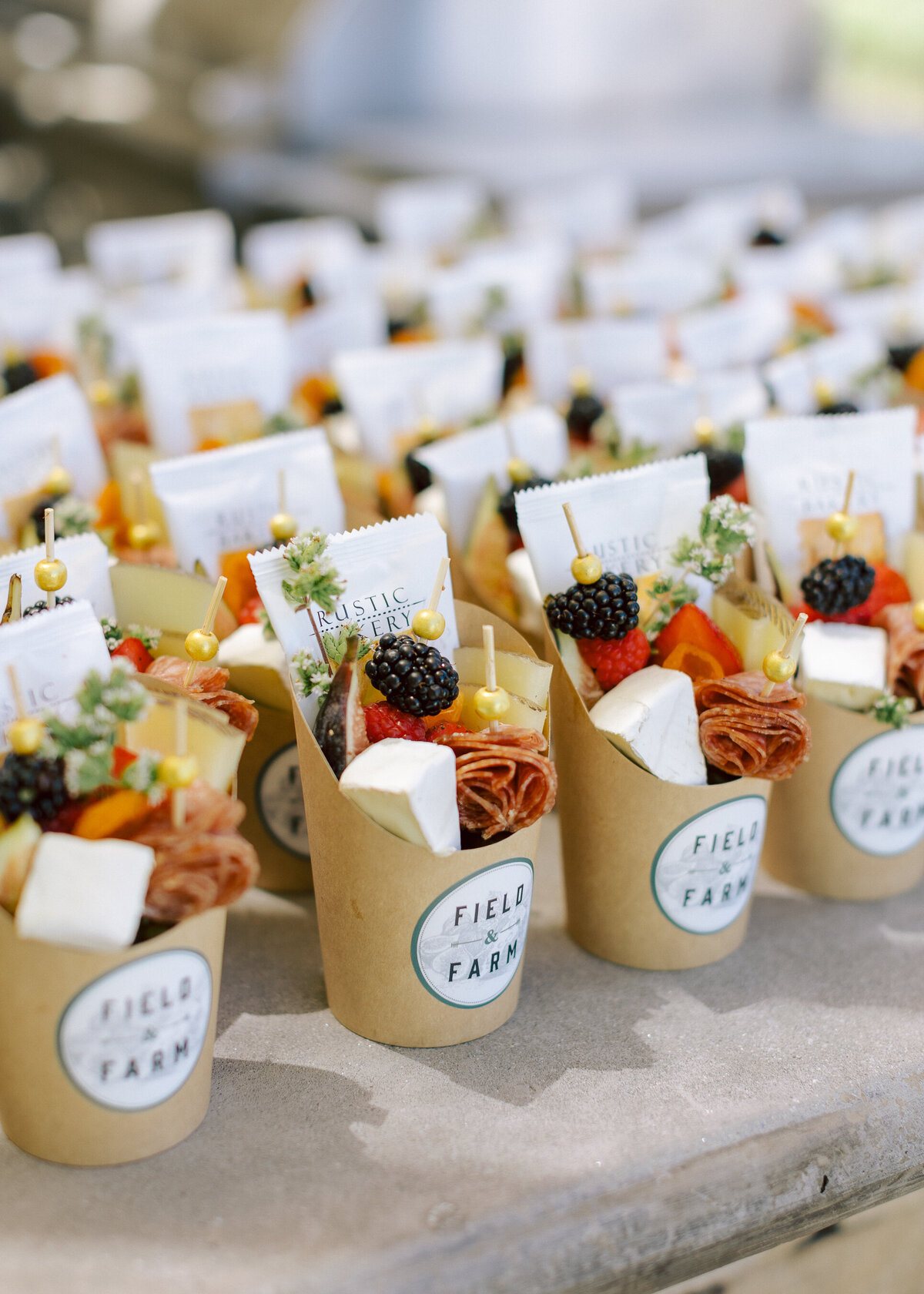 0346_gretchen_gause_photo_healdsburg_wedding_Arista_Winery_Little_Saint_2024-
