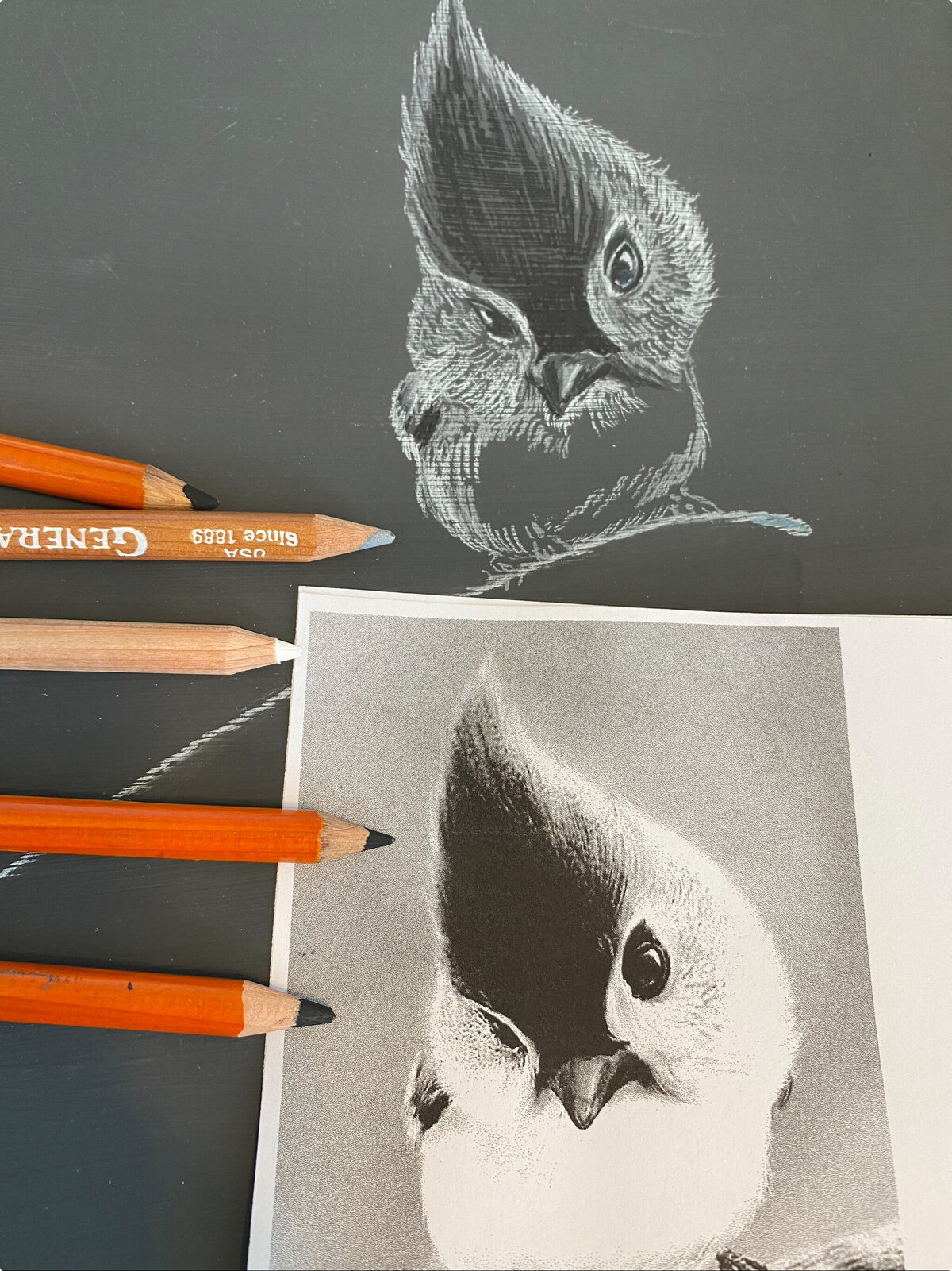 Illustration of a bird and the original photo of the bird with the pens used beside