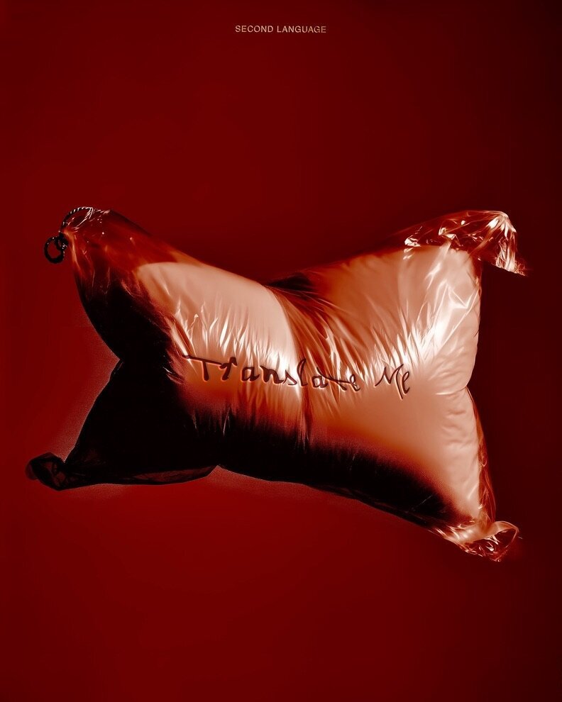 870F6A61-DC18-4800-AAC7-E546373EE80D_1_105_c