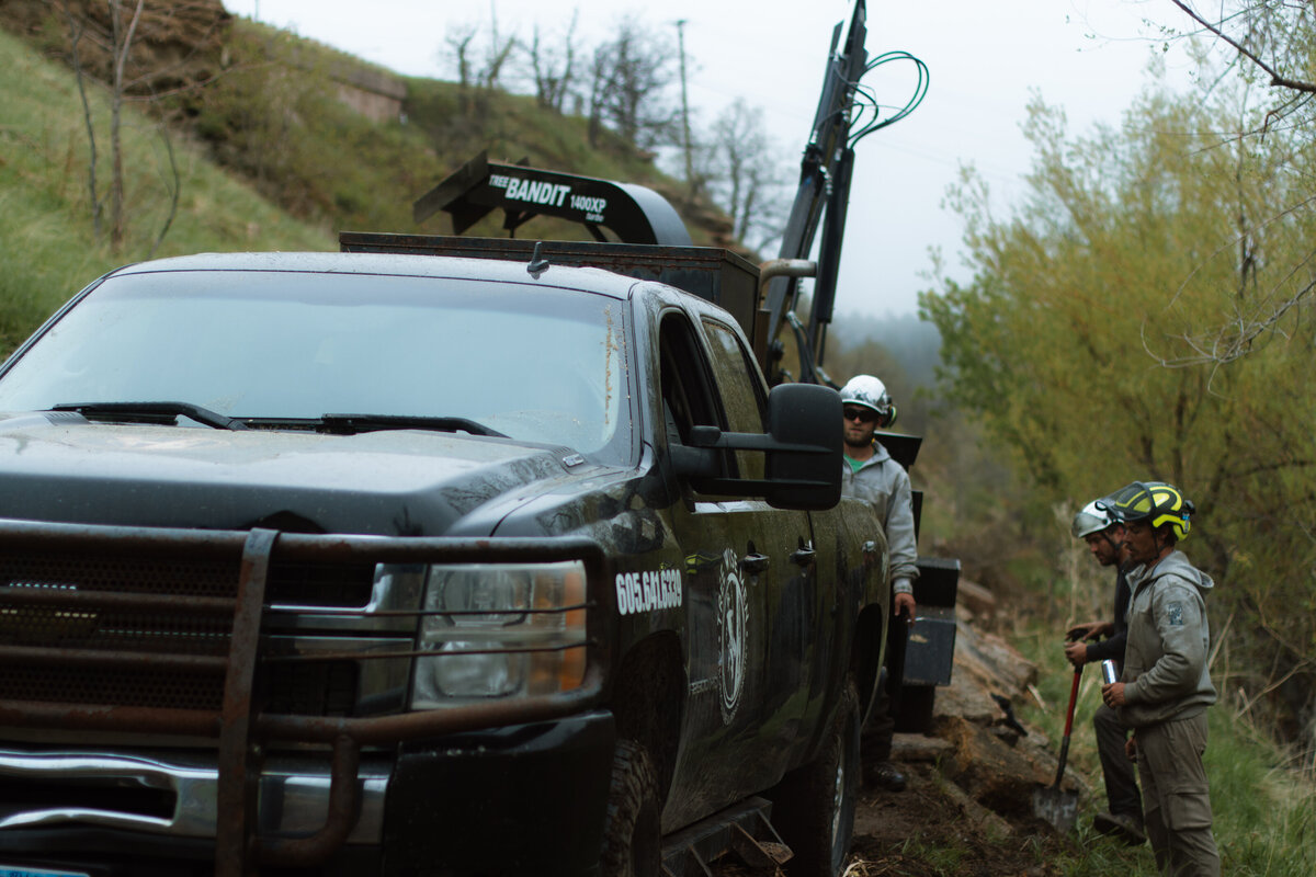 stump-grinding-deadwood-sd