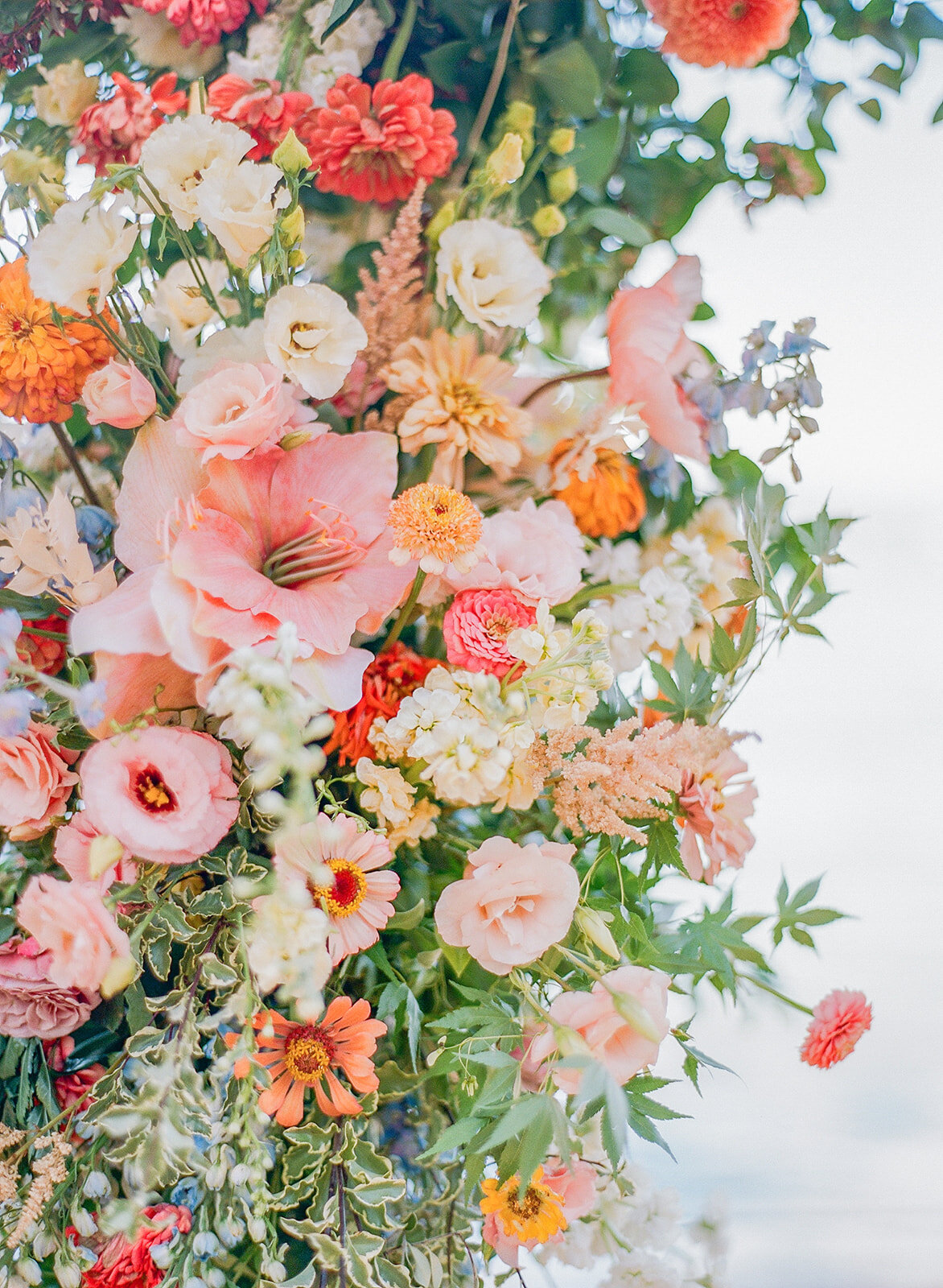 Clare and Nick_Janine Licare Photography-138