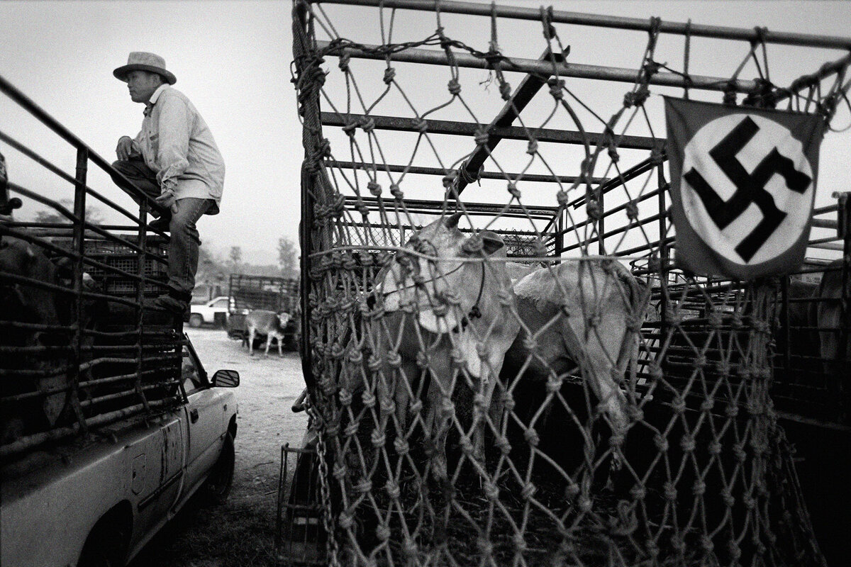 Bart Van der Moeren - Snapshots - 014