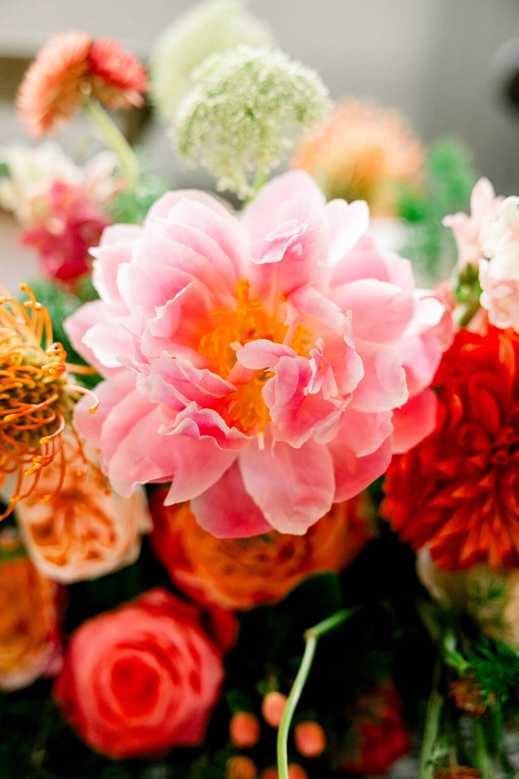 the-one-with-the-prickly-pear-cacti-tamara-menges-designs-10