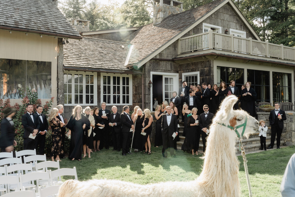 Bride and Groom at Chattooga Club Cashiers NC by Wedding Photographer Nick Francis-44