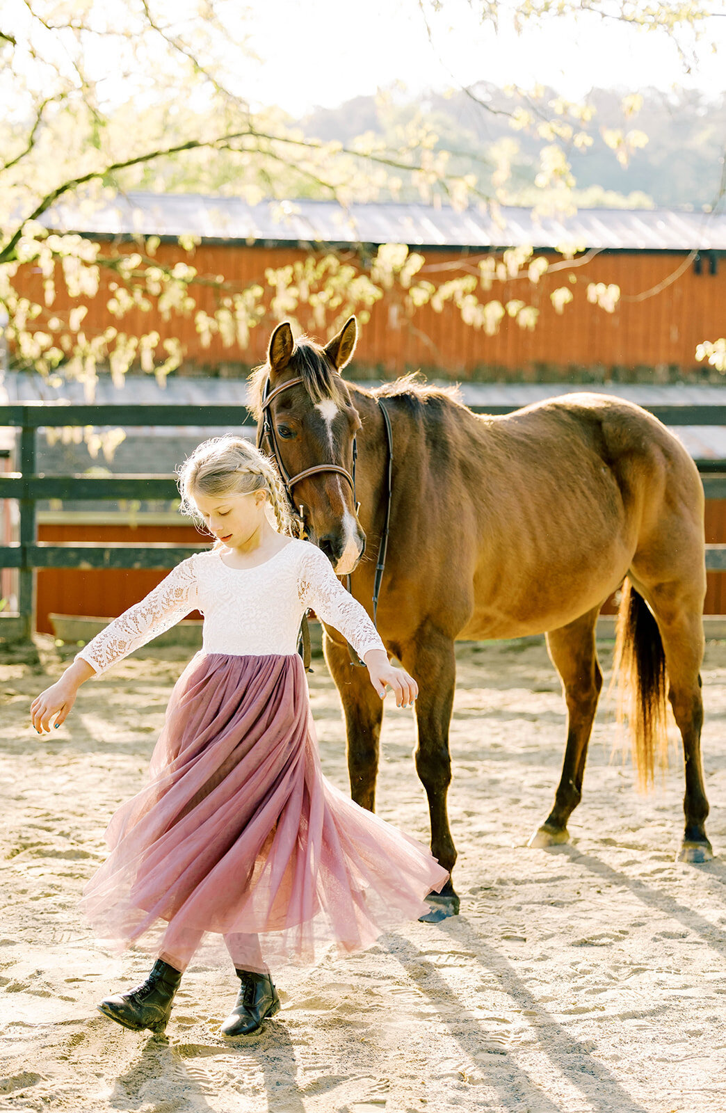 EQUESTRIAN PHOTOGRAPHER NORTH WEST GEORGIA -1520_websize
