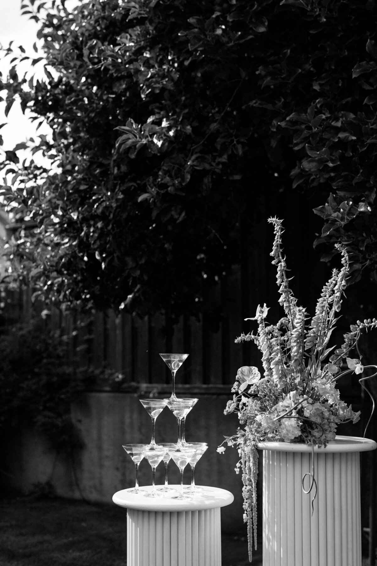 Southern Oregon Photographer