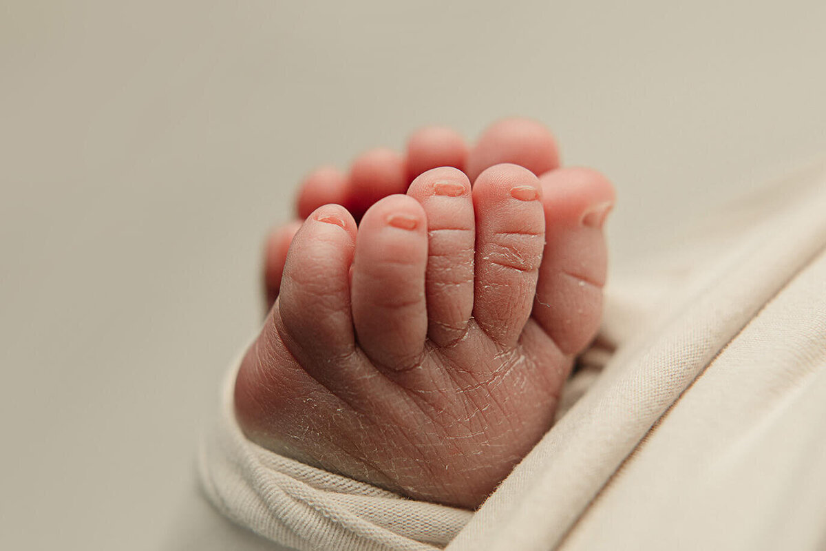 macro shot of newborn boys feet