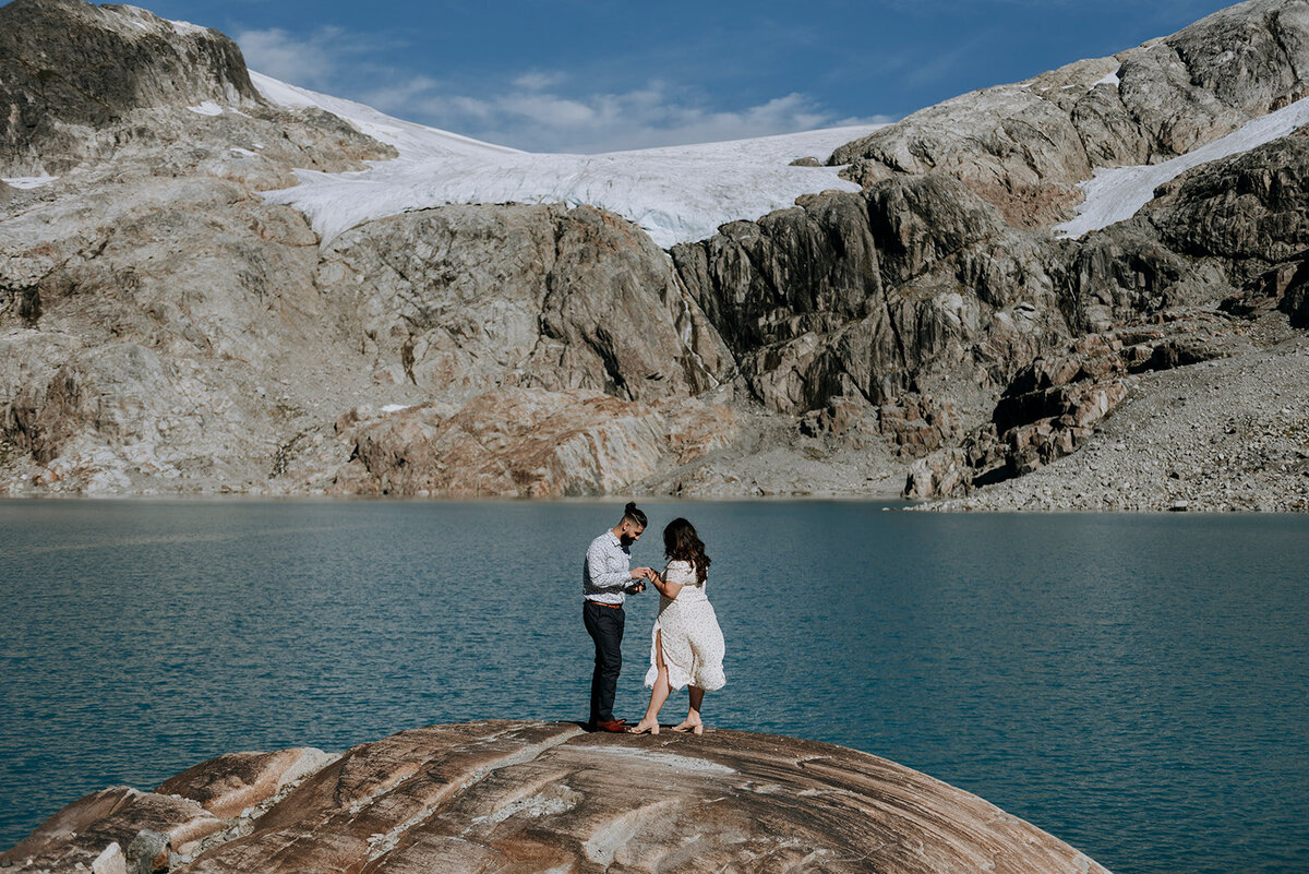 Ipsoot Glacier Proposal Henna + Raman4