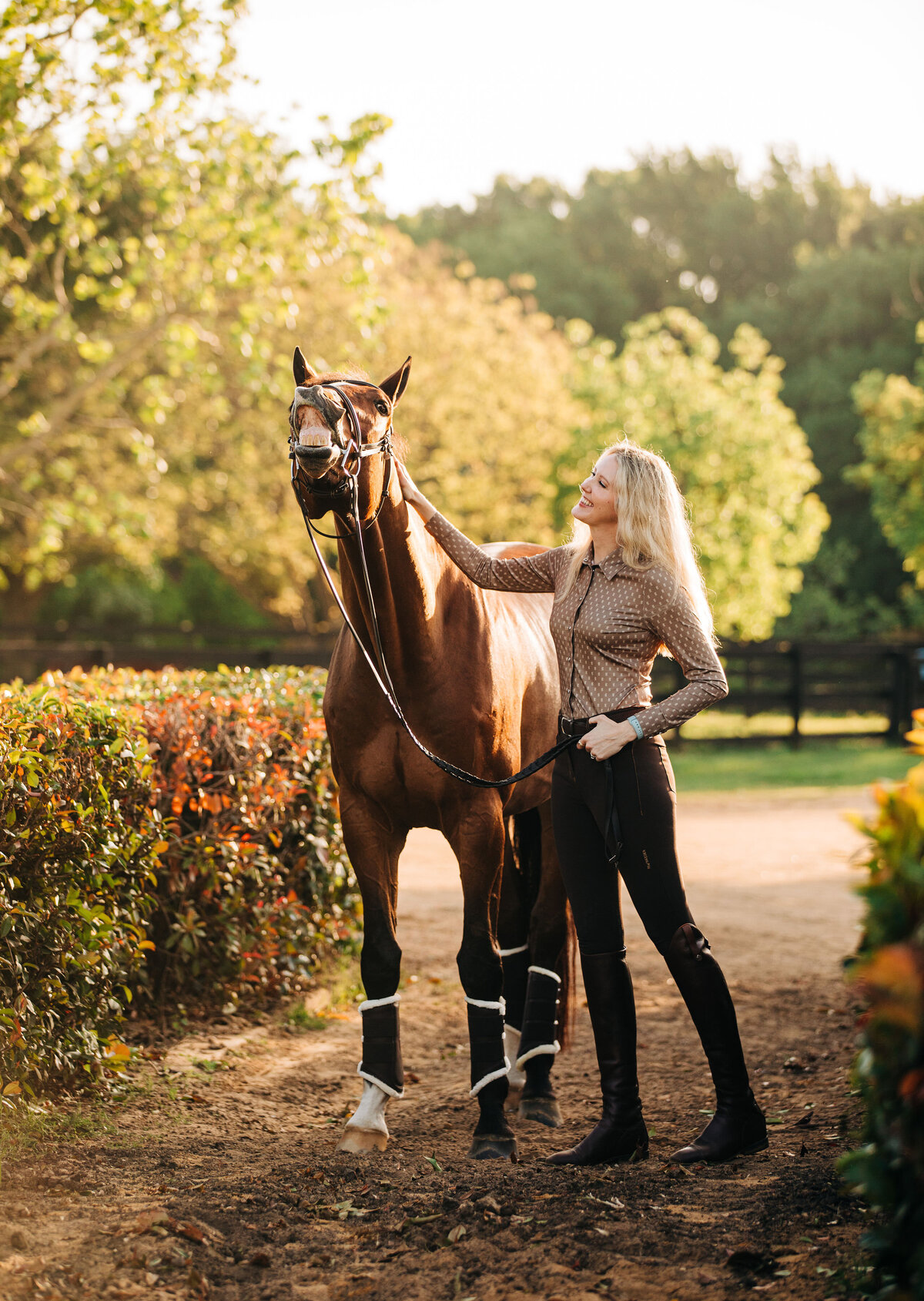 Horse & Rider (105)