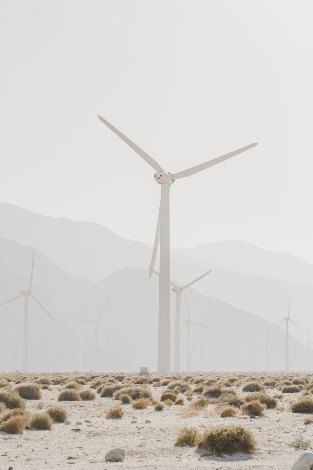 PERRUCCIPHOTO_PALM_SPRINGS_WINDMILLS_ENGAGEMENT_2