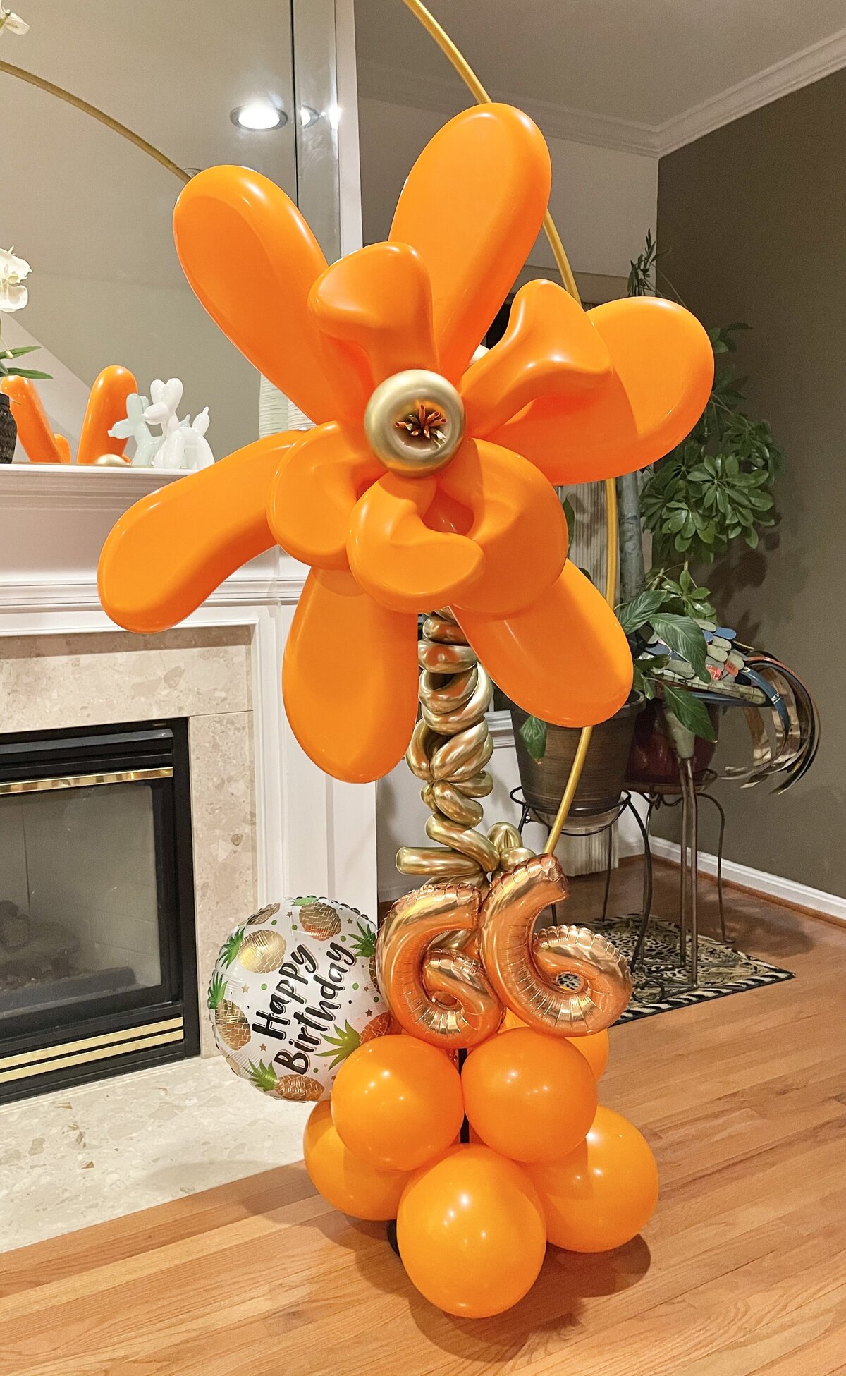 maryland - balloons -222