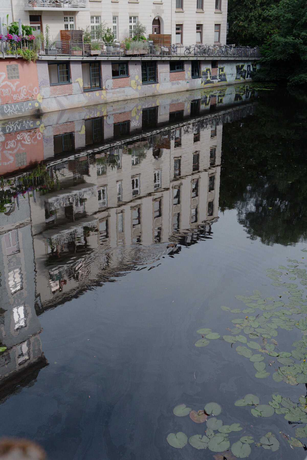 Anh-Marlene-20250808-001