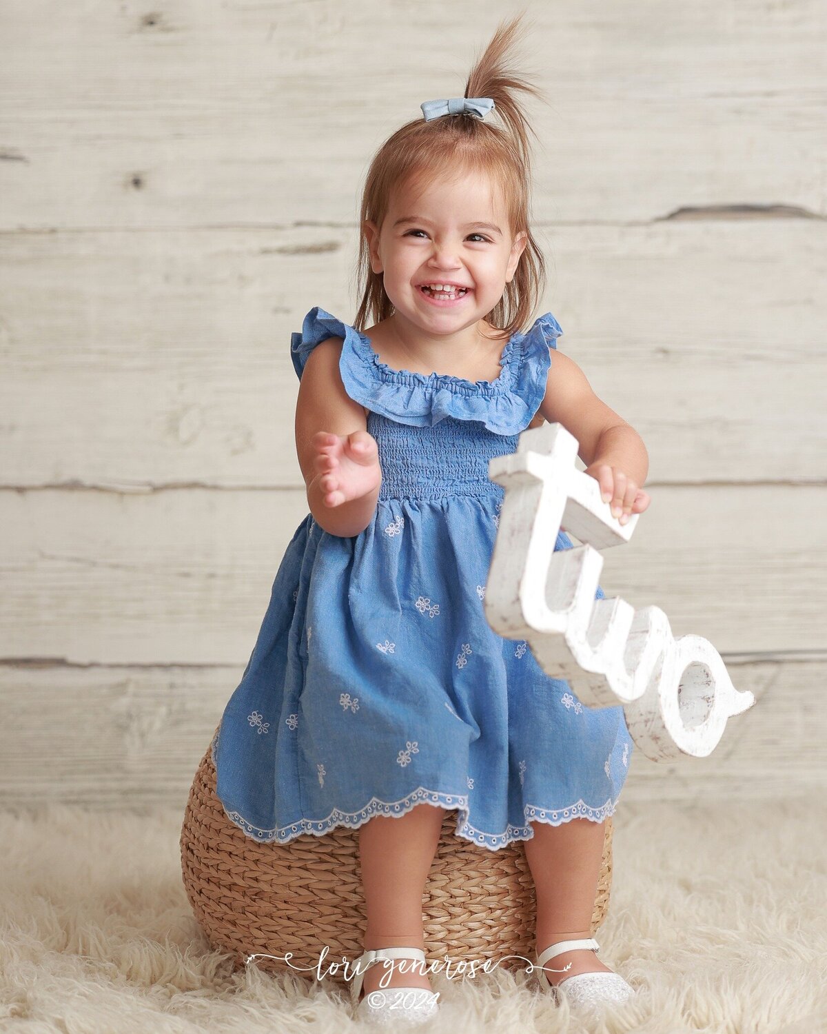 lehigh-valley-photographer-lori-generose-lg-photography-second-birthday-milestone-girl-macungie-pa