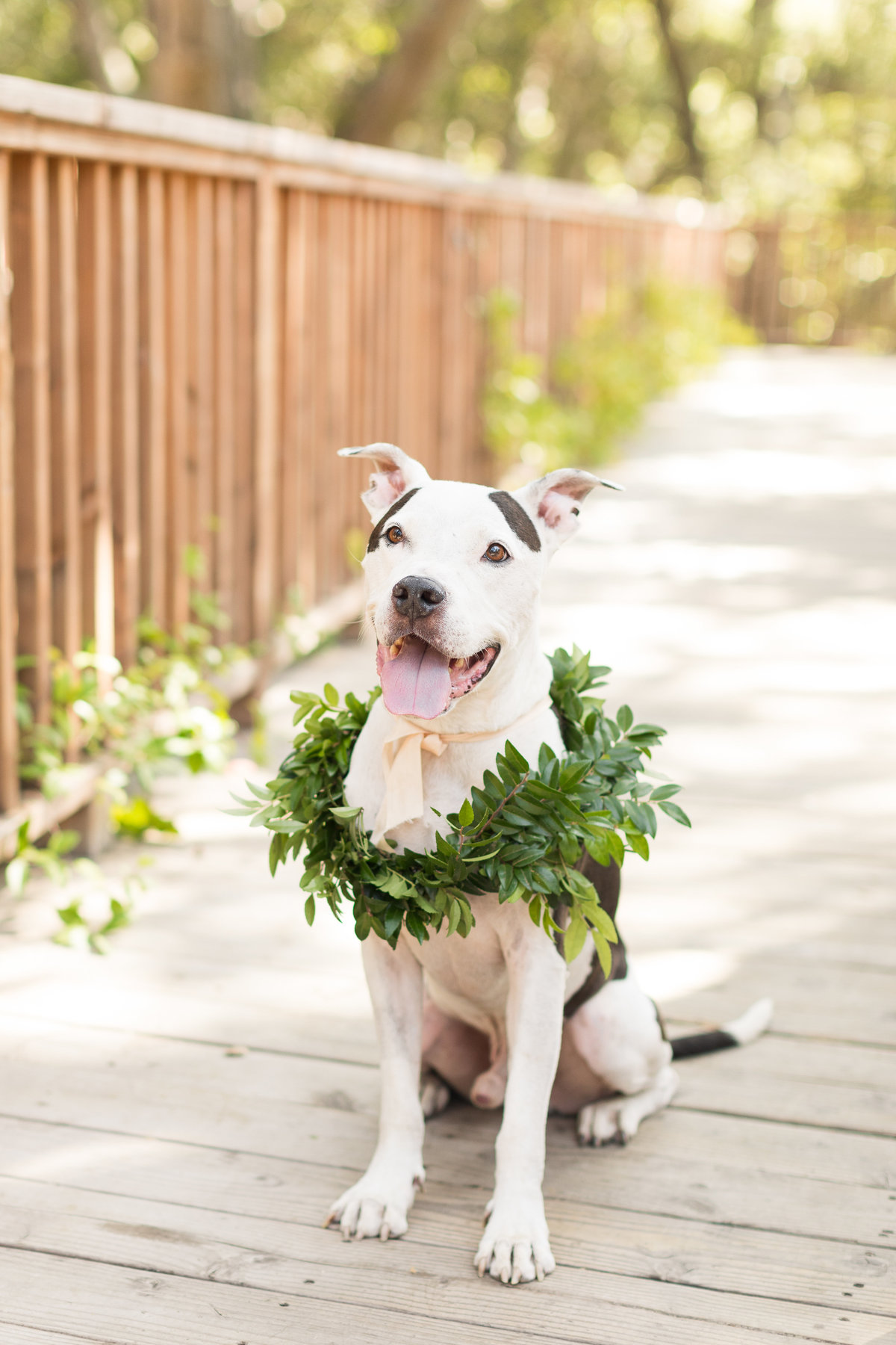 jenny-cameron-calamigos-ranch-wedding-photos-preview-18