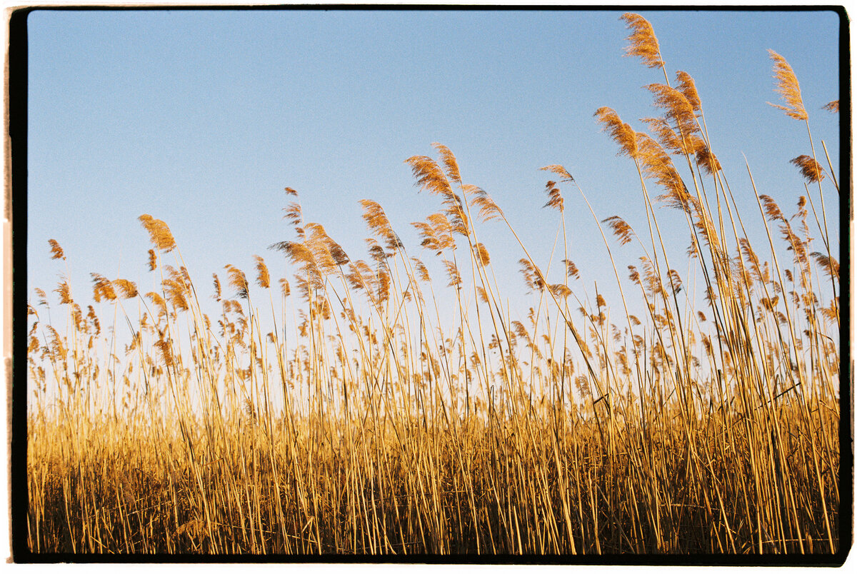 piermont-new-york-jamie-shields-photography-1