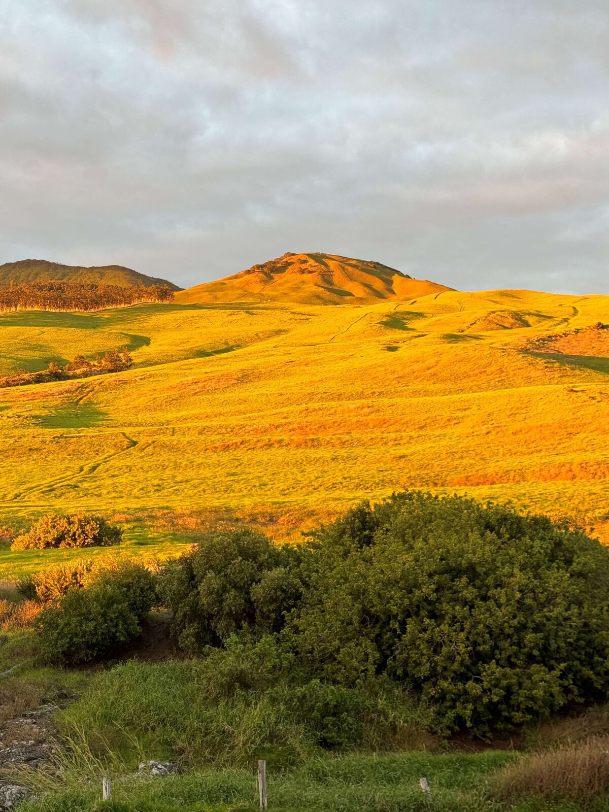 Laelae Mountain glowing at sunset on Hawaii Island