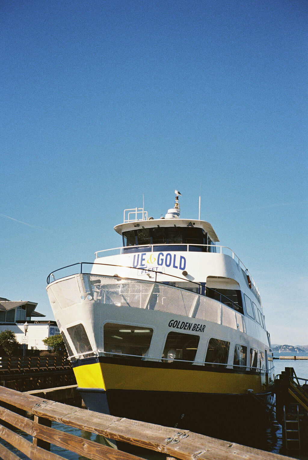 grace&reesesneakpeeks-28