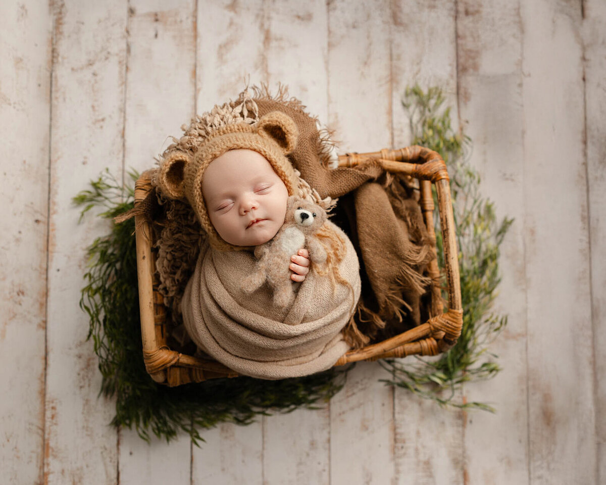 Adorable newborn wrapped in warm earth tones with a lion hat and tiny plush companion, styled in a rustic basket setup. Photographed in-studio by Inland Empire newborn photographer Kaitlyn Dawn.