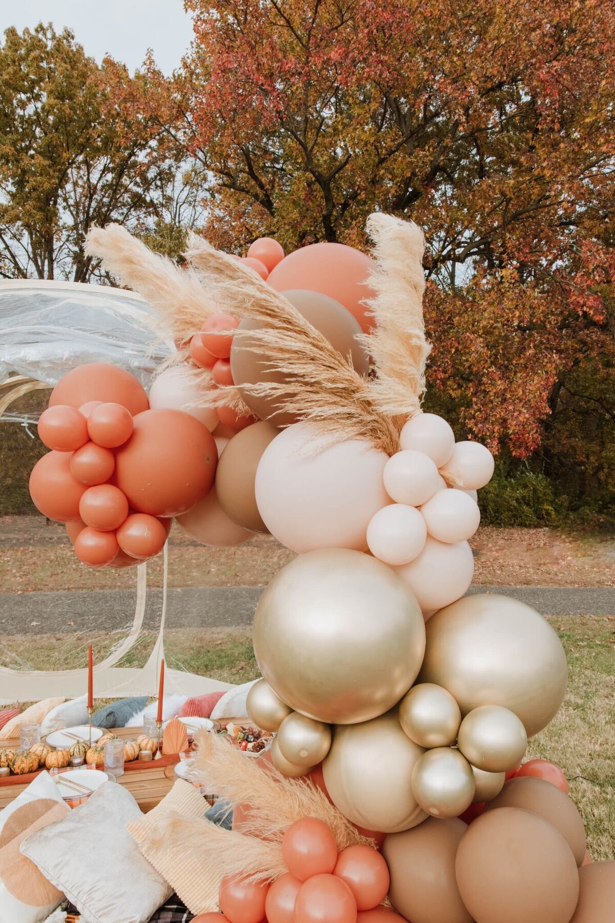 cherry-hill-fall-picnic-32