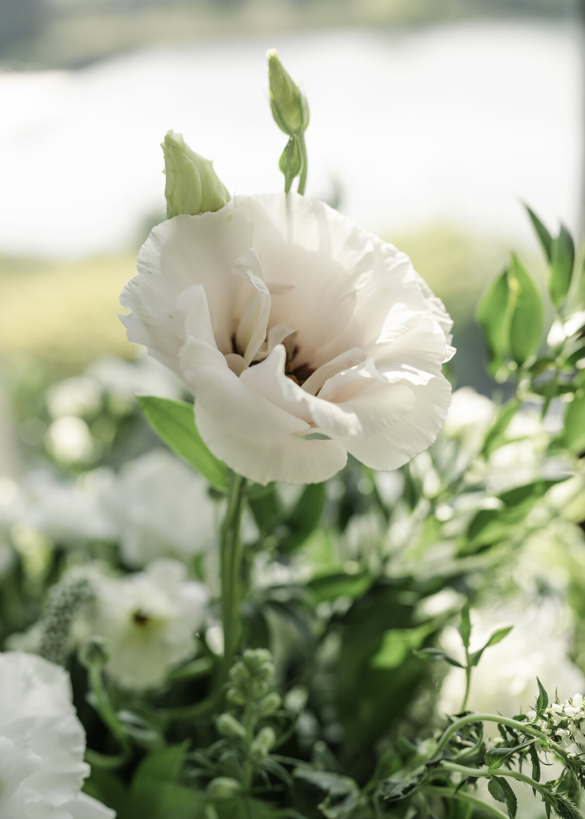 S&C Cambridge Mill Wedding Flowers Mapleton Acres22