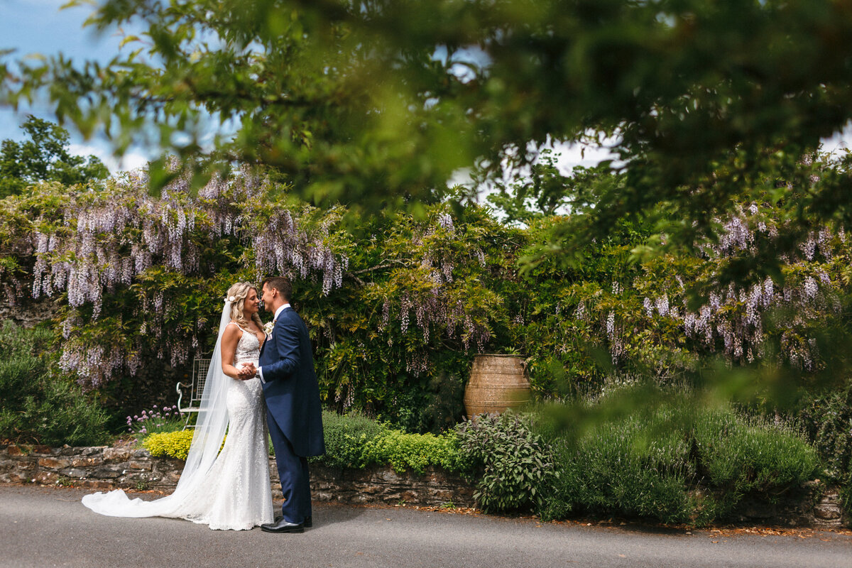 Couple kiss under wisteria at their Pentillie Castle Wedding 