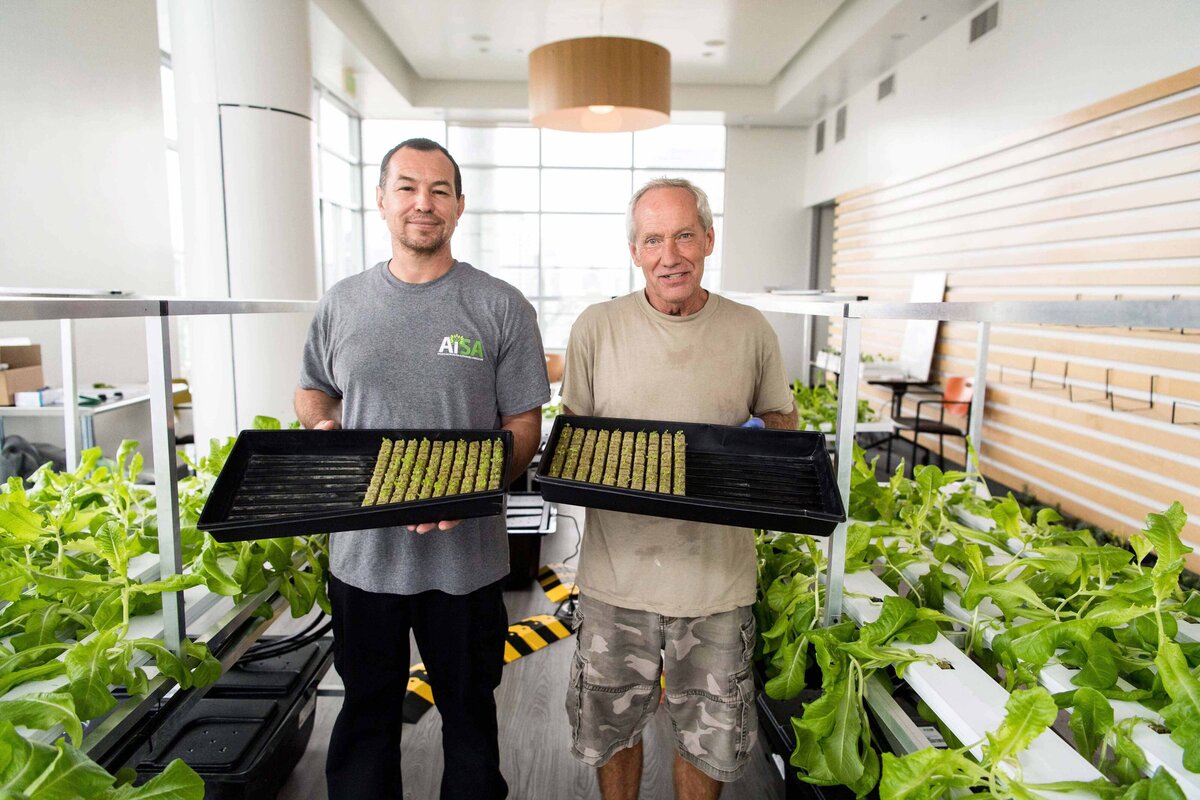 Two men show lettuce sprouts at greenhouse facility