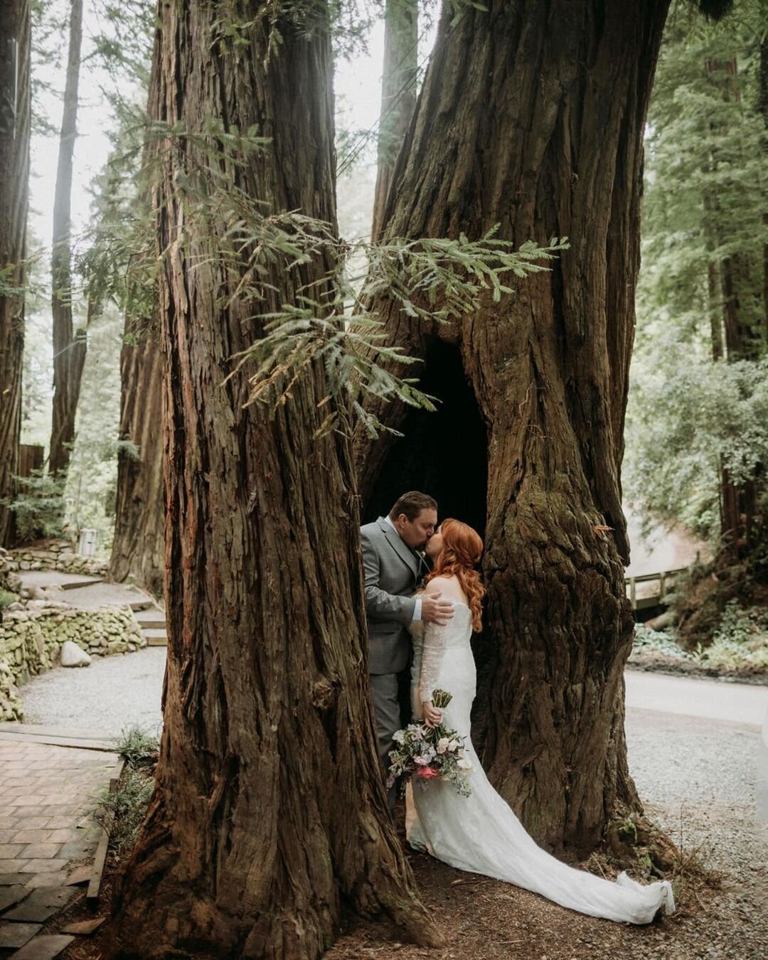 Couple at their elopement ceremony in the towering Big Sur redwood forests
