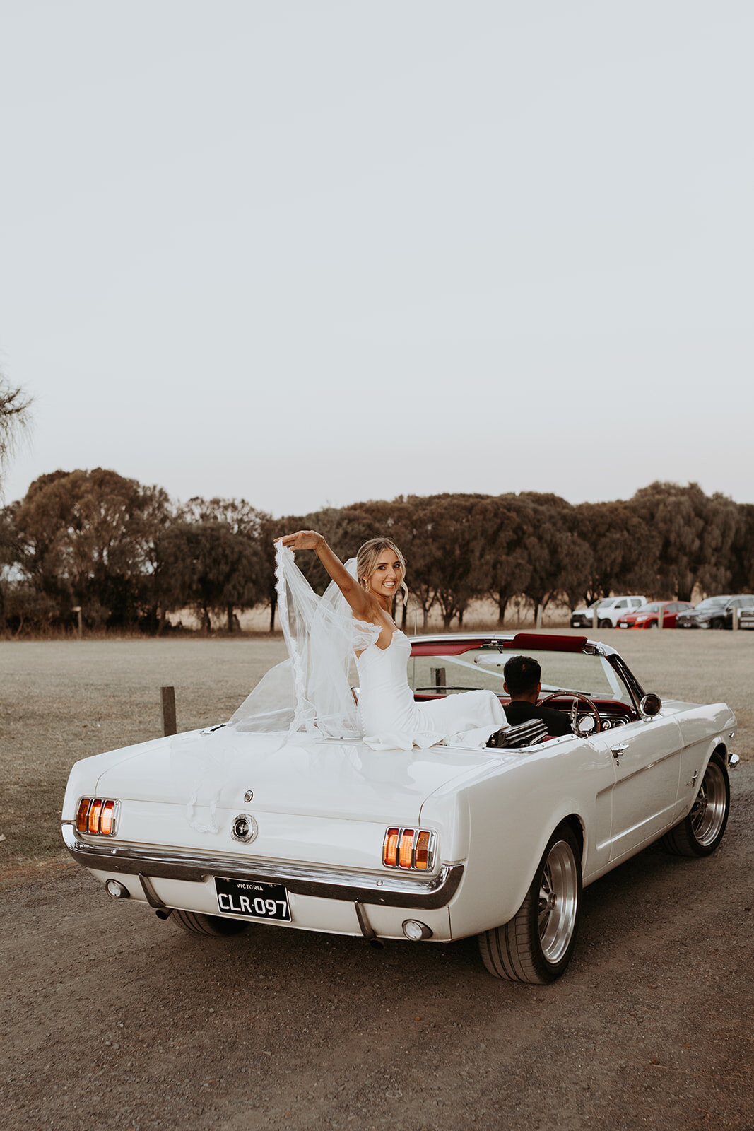 Sneak peek (178 of 195)