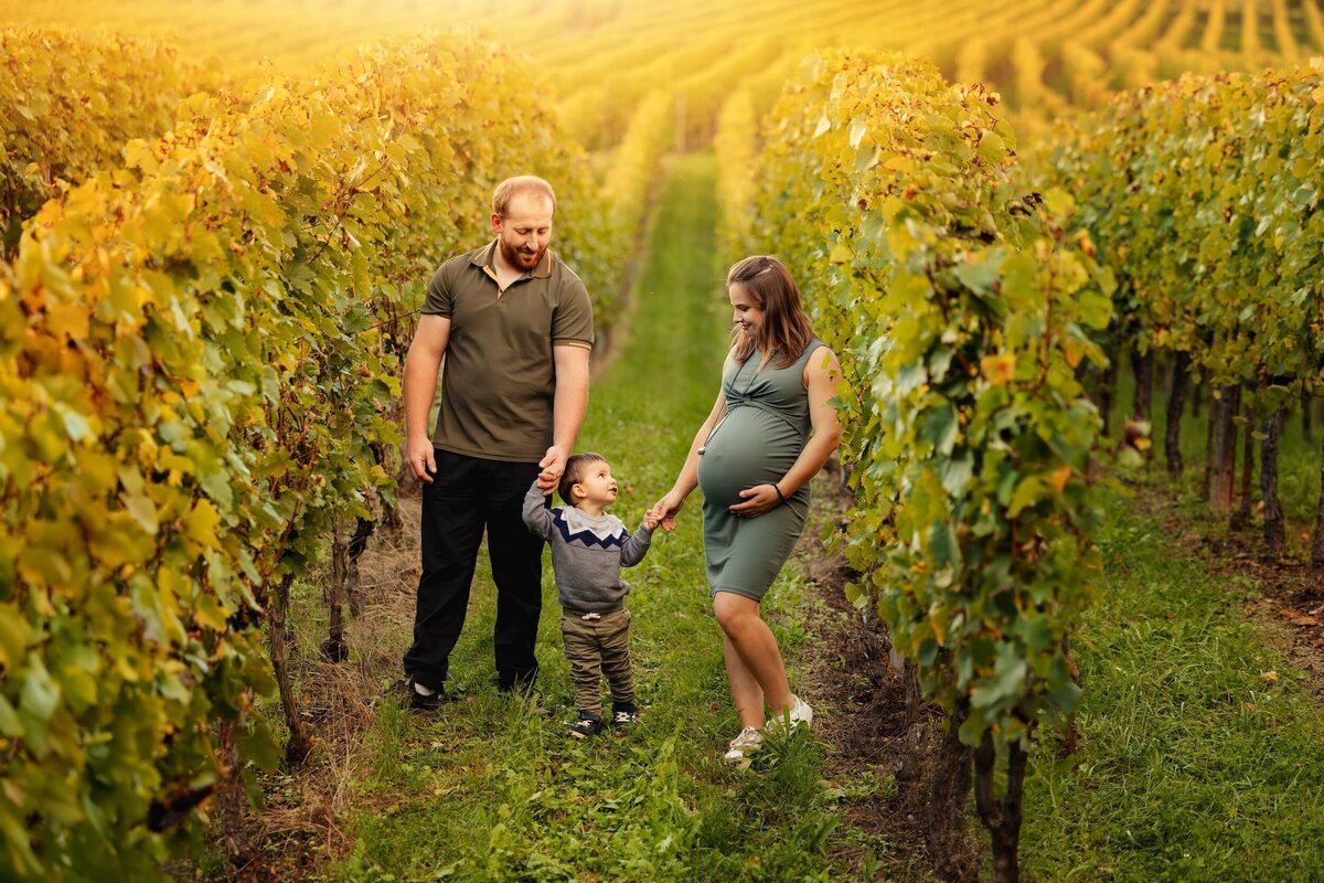 homme et femme enceinte tenant et regardant tendrement un petit garçon dans les vignes