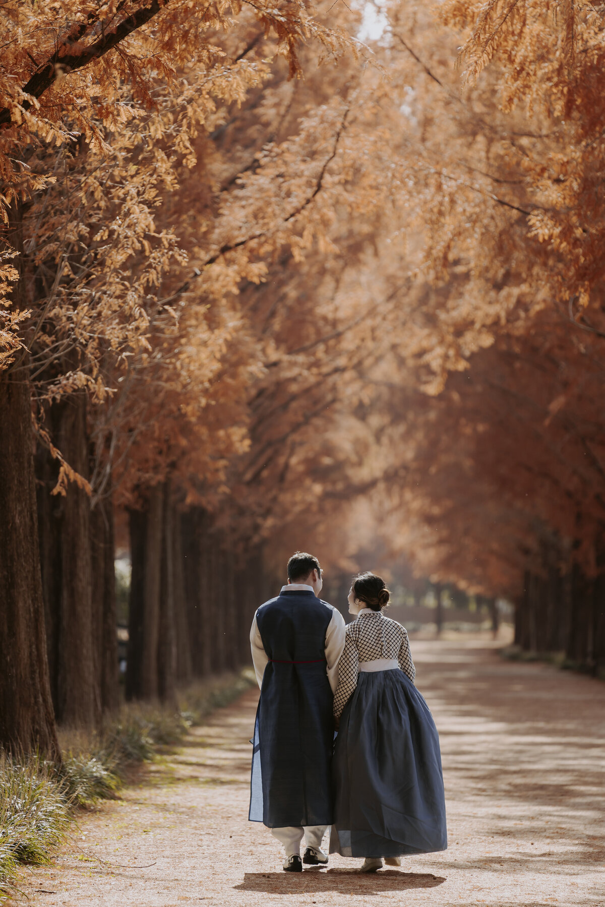 the couple walking under the golden metasequoia tree in damyang during autumn season