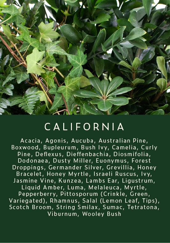 Greenery-California