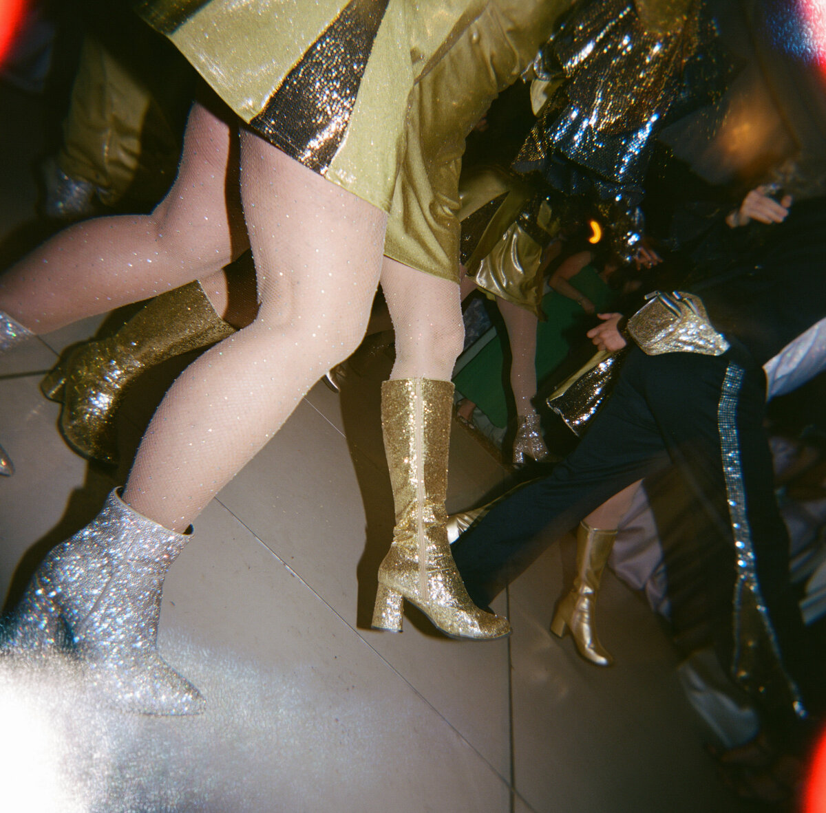 Ariel+Cameron+Photography+WILD+1