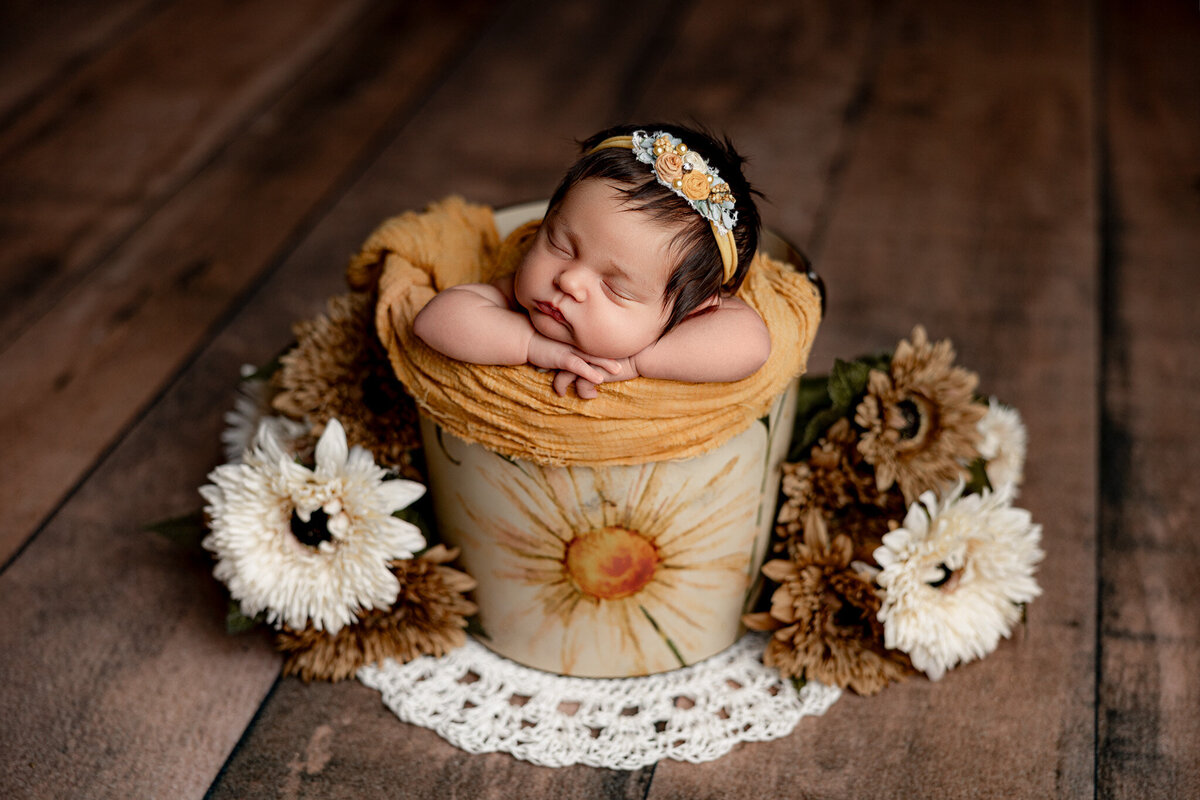 newborn photographer in michigan, michigan newborn photographer, newborn photographer near charlevoix, photographer near petoskey, baby photographer near traverse city, newborn photographer near me_SadieNewborn_9088