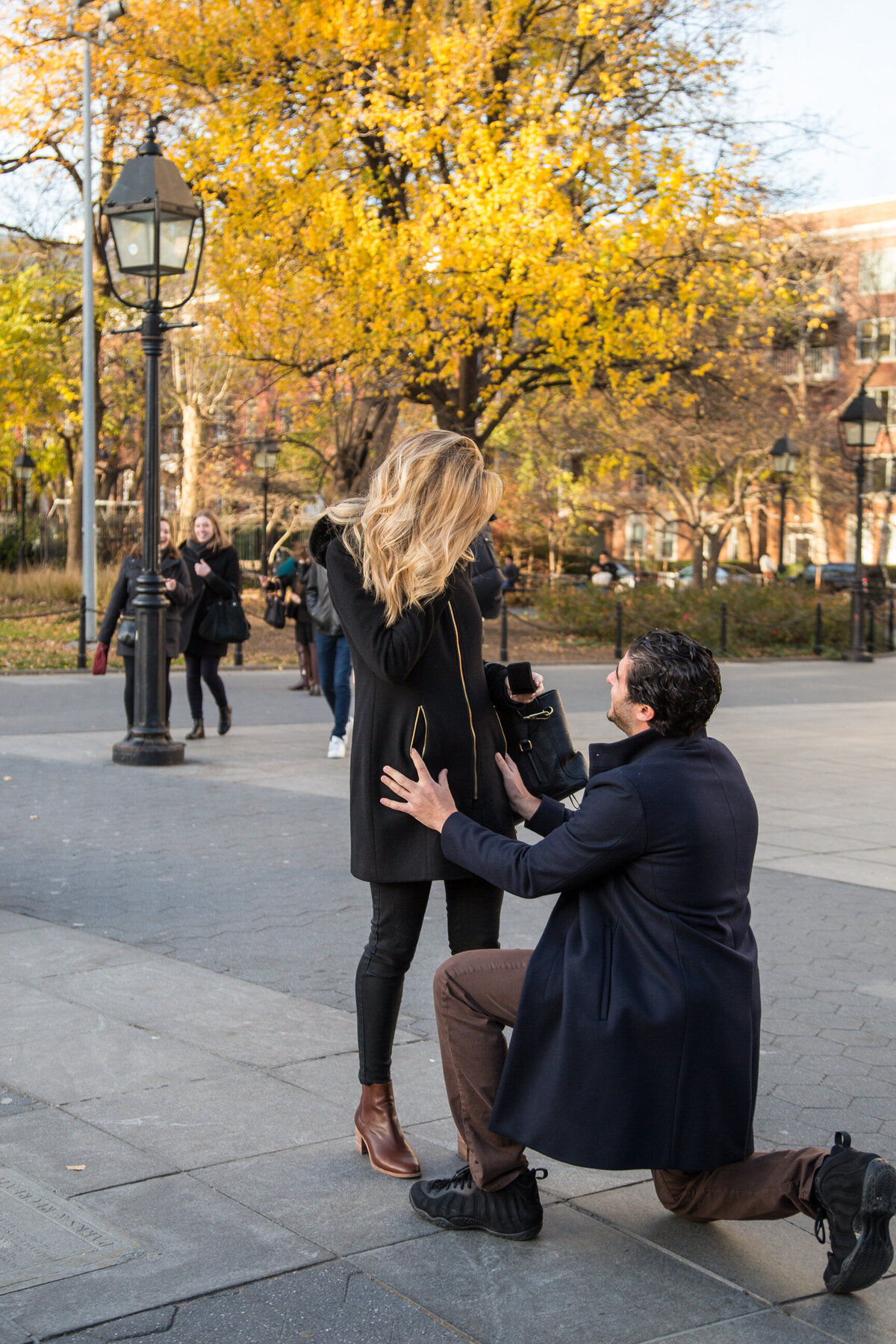 proposal in central park