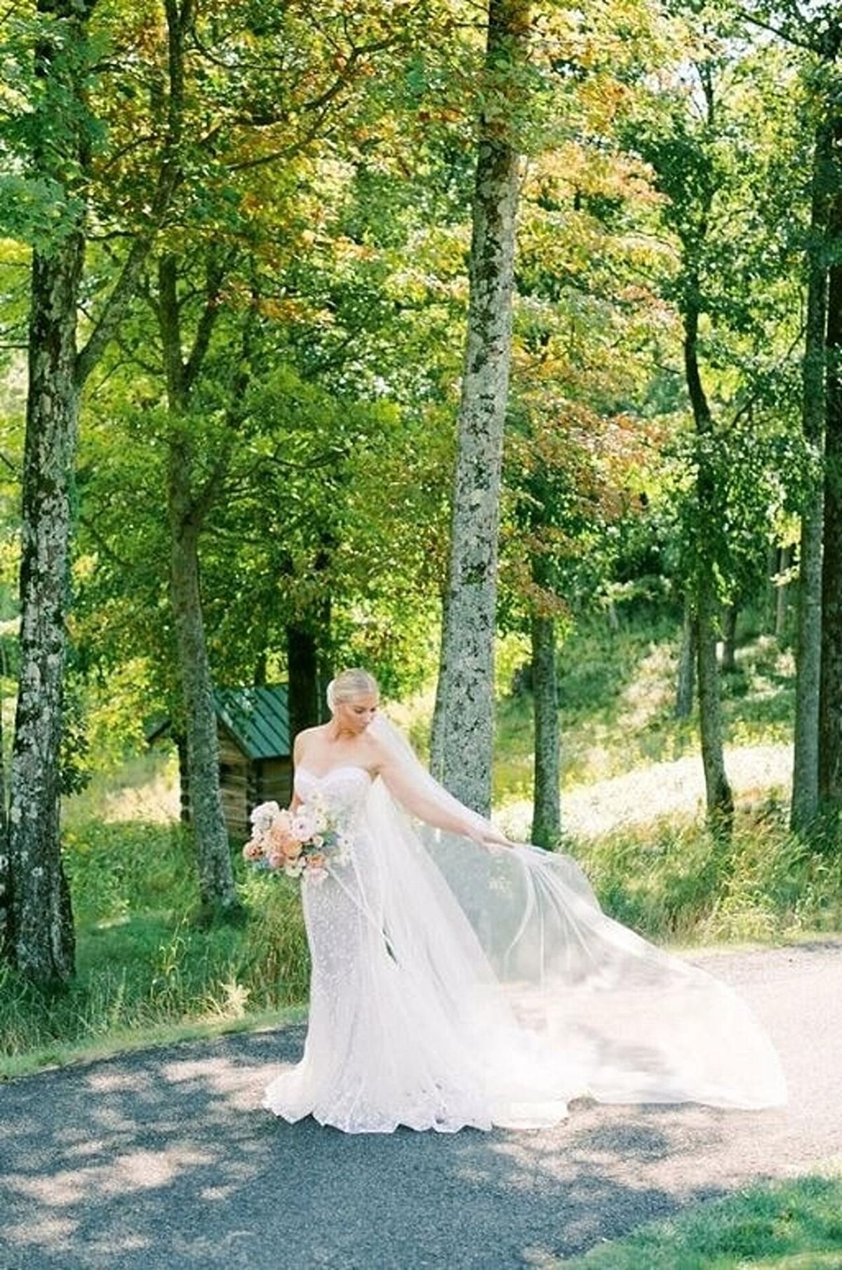 Wedding-at-Primland-Resort-Meadows-of-Dan-Virginia-1dw814xi
