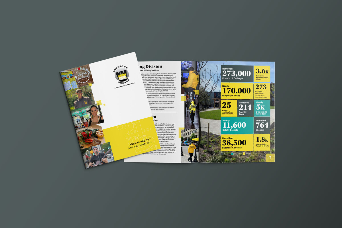 DowntownVisions-Annual-Report-Design