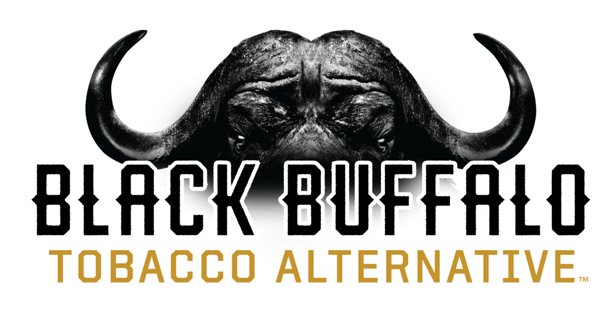 blackbuffalo_nic_logo_with bull