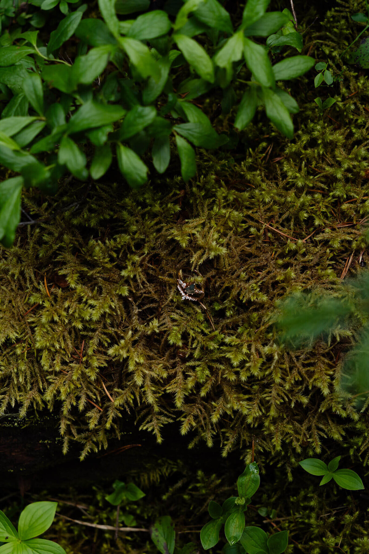 Wyoming-Elopement-Photographer-139