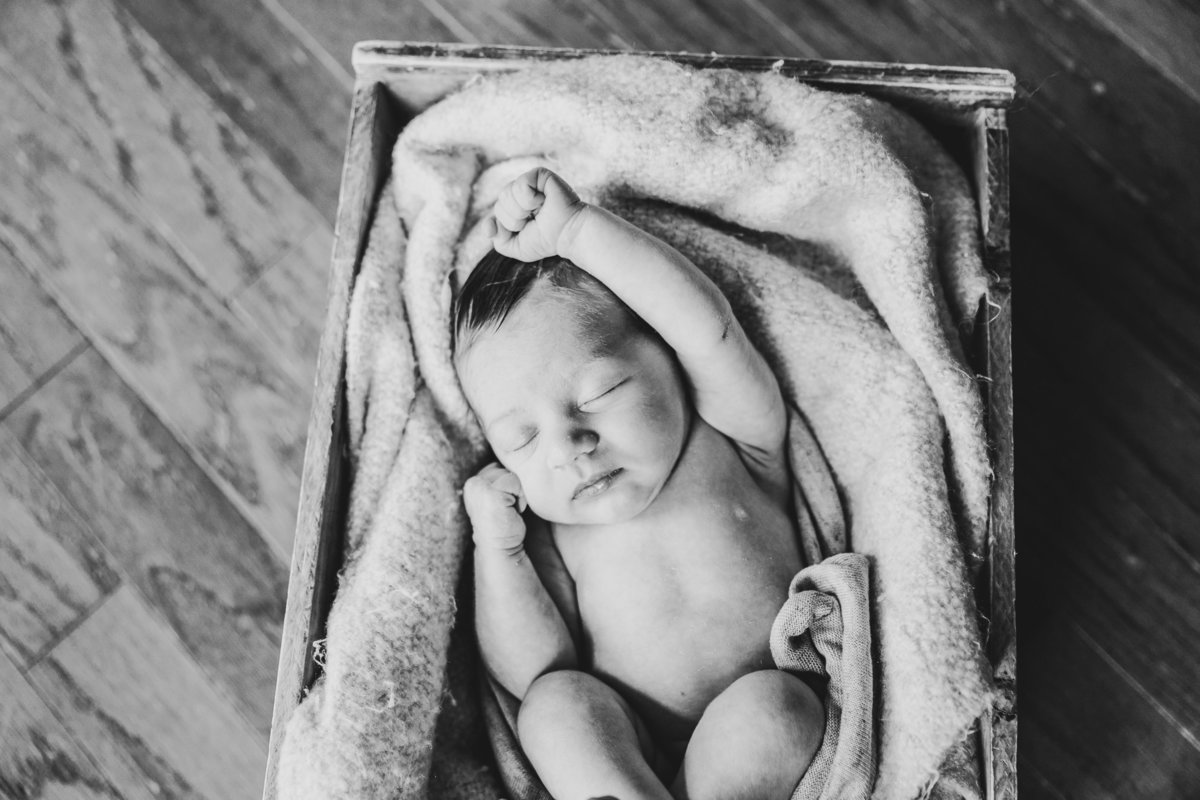 raleigh newborn photographer-lena-9079-2