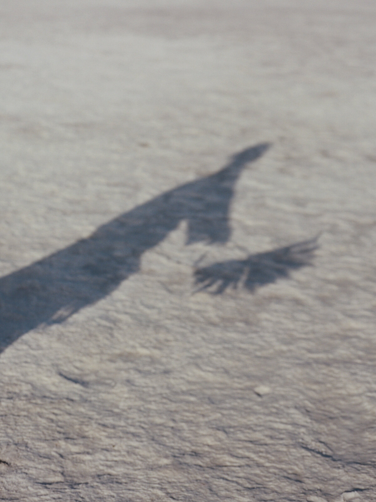 jennylosee.com (81 of 262)