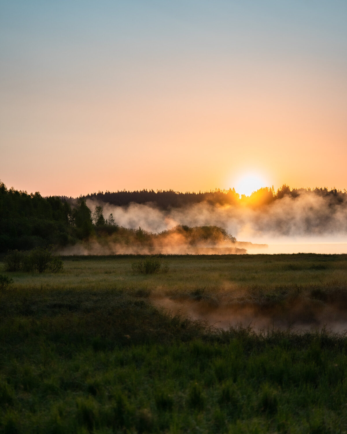 Rybník Olšina, Šumava