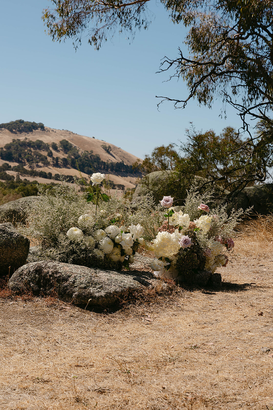 Rach and Max x Ash Haase Photography-570