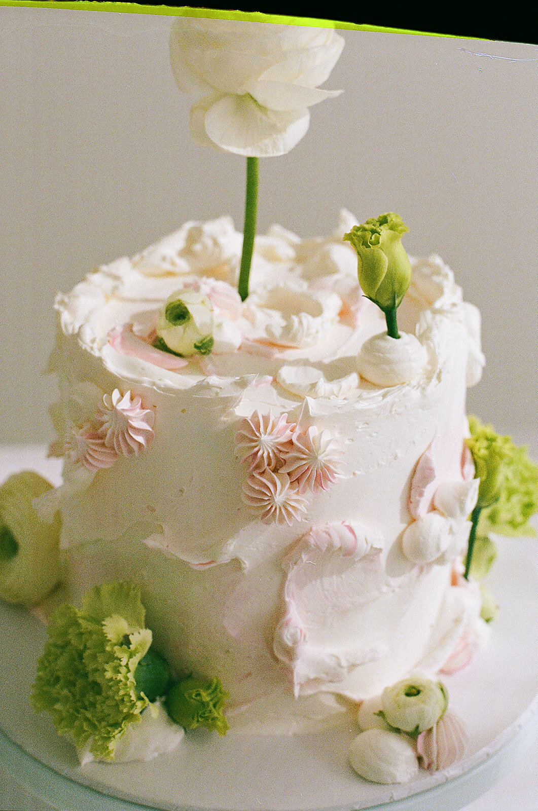 Winnipeg-Film-Photographer-12