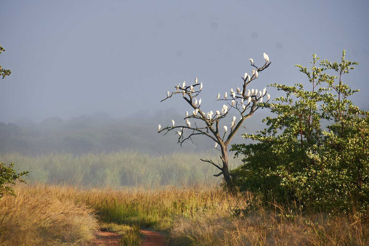 SouthAfrica_30