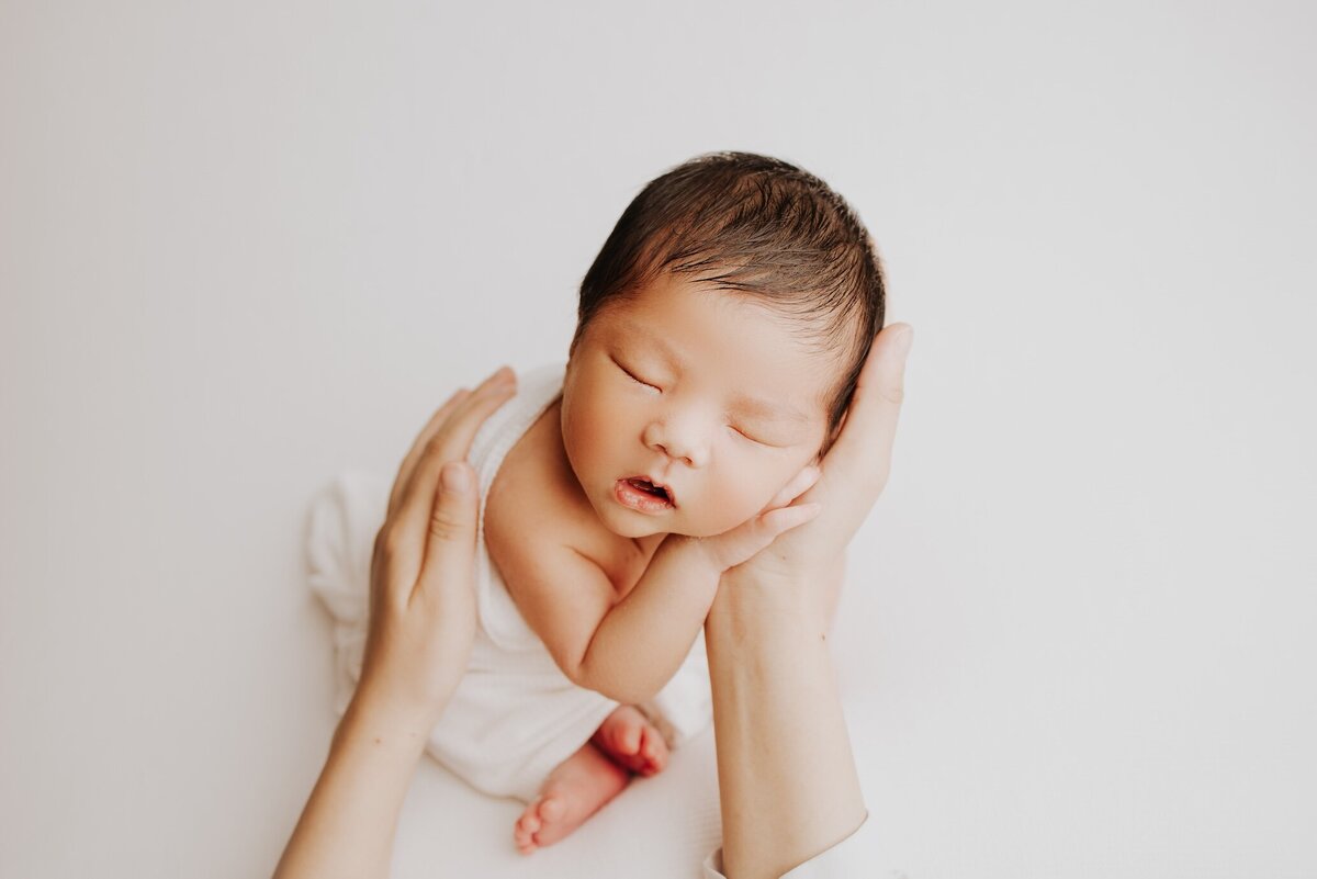 Sacramento, Elk Grove, Florin, Vineyard, Roseville, Davis, Rancho Cordova, East Sacramento, Cameron Park, Folsom, Antelope Newborn Photographer, Baby Photographer, A Little Goose